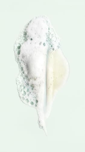 Oribe Shampoo for Moisture & Control