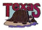 New Collectable Texas Scuba Diver Hat & Lapel Pin