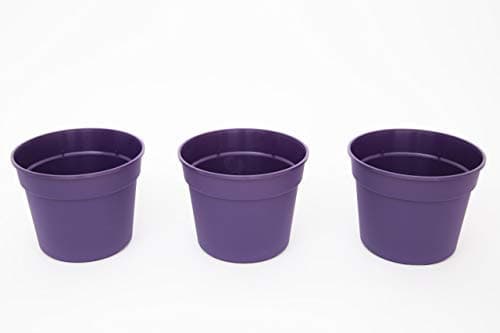 Matri - Plastic Planter Pot - 21cm -8.5 inch - 3 Pack (Violet)