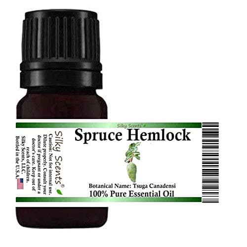 Spruce Hemlock Essential Oil (Tsuga Canadensi) 100% Pure and Natural - 10 ML