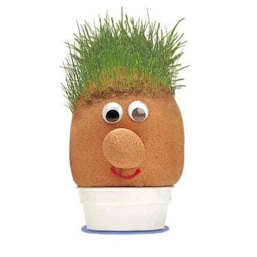 Mr Grass Head