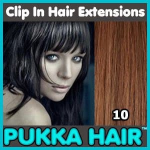 15 Inch (Ash Brown #10) Clip In Remy Human Hair Extensions - 8 Piece Set - Full Head - Clips Attached - 90g Weight - Get the Celebrity Lush Look!!