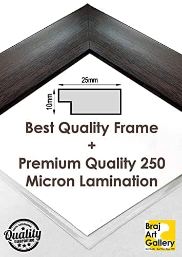 Braj Art Gallery Shri Hit Premanand Govind Sharan Ji Maharaj wearing Radha Garland Photo Frame Size 13.5X19.5 Inches