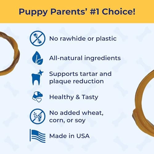 N-Bone Puppy Teething Rings Chicken Flavor 6-count(pack of 1) / 7.2 oz