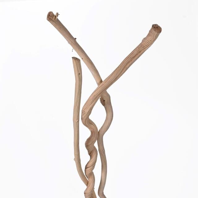 Dried White Dula 90cm Log Decorative Wood Branches Twigs Vase Filler (Pack of 3)