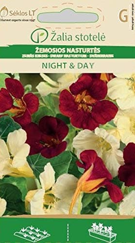 Seklos LT Dwarf Nasturtium Day&Night Seed - 20 Seeds