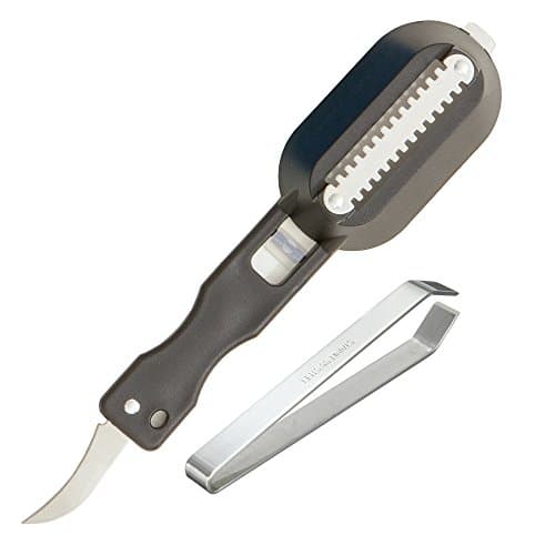 Ken Stainless Steel Fish Bone Remover Tweezers and Fish Scale Scraper with a no Mess Safety lid and a Multipurpose Cutting & Gutting Knife (Black)