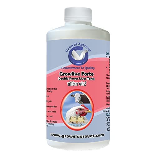 Growel Agrovet Growlive Forte – Liver Tonic for Digestion, Appetite, Better FCR, Growth and Feed Intake of Poultry,Cattle,Horses,Pigs,Goats,Sheep, Pigeons and Birds - 500 ml.