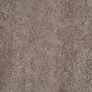 Forbo Marmoleum Eiger Natural Linoleum Tile Flooring - 13" x 13" x 0.08" (53.82 sf / box)