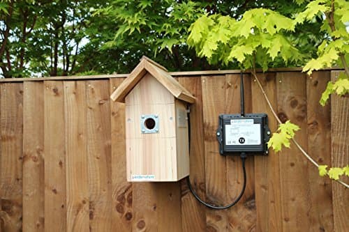 Bird Box with Wireless Camera