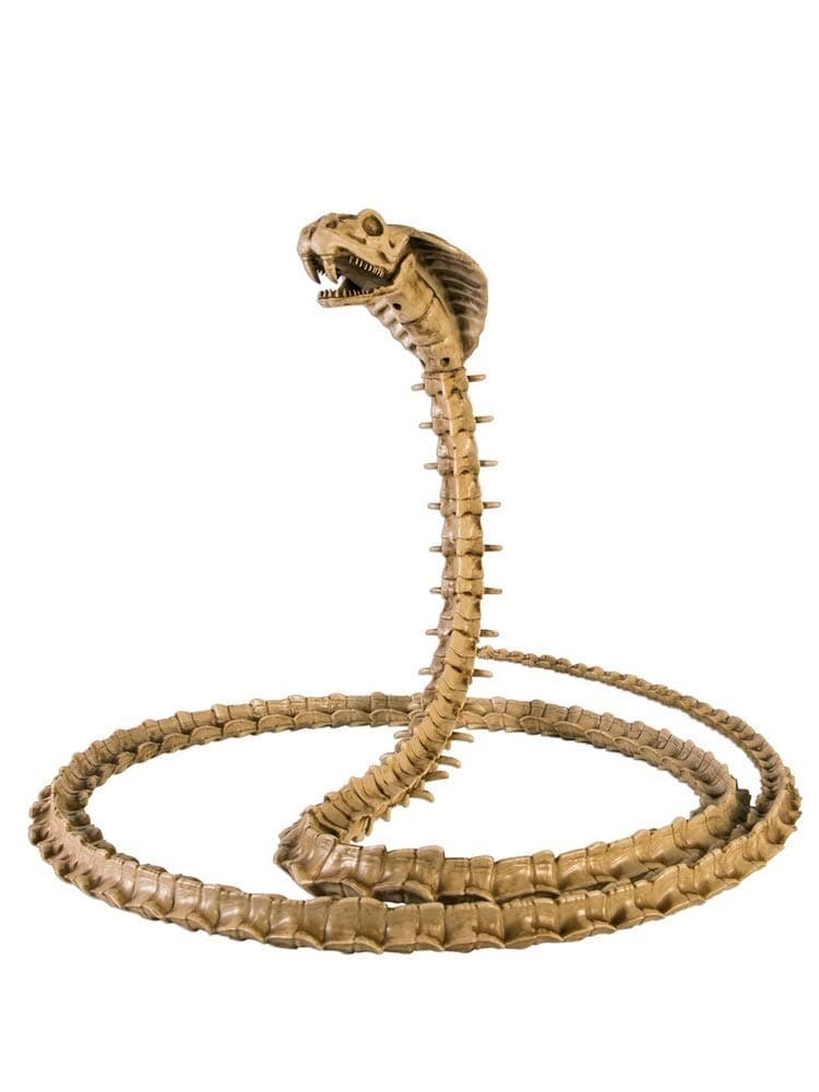 Deluxe 85" Skeleton Cobra Bones with Moveable Jaw Halloween Party Decoration Prop