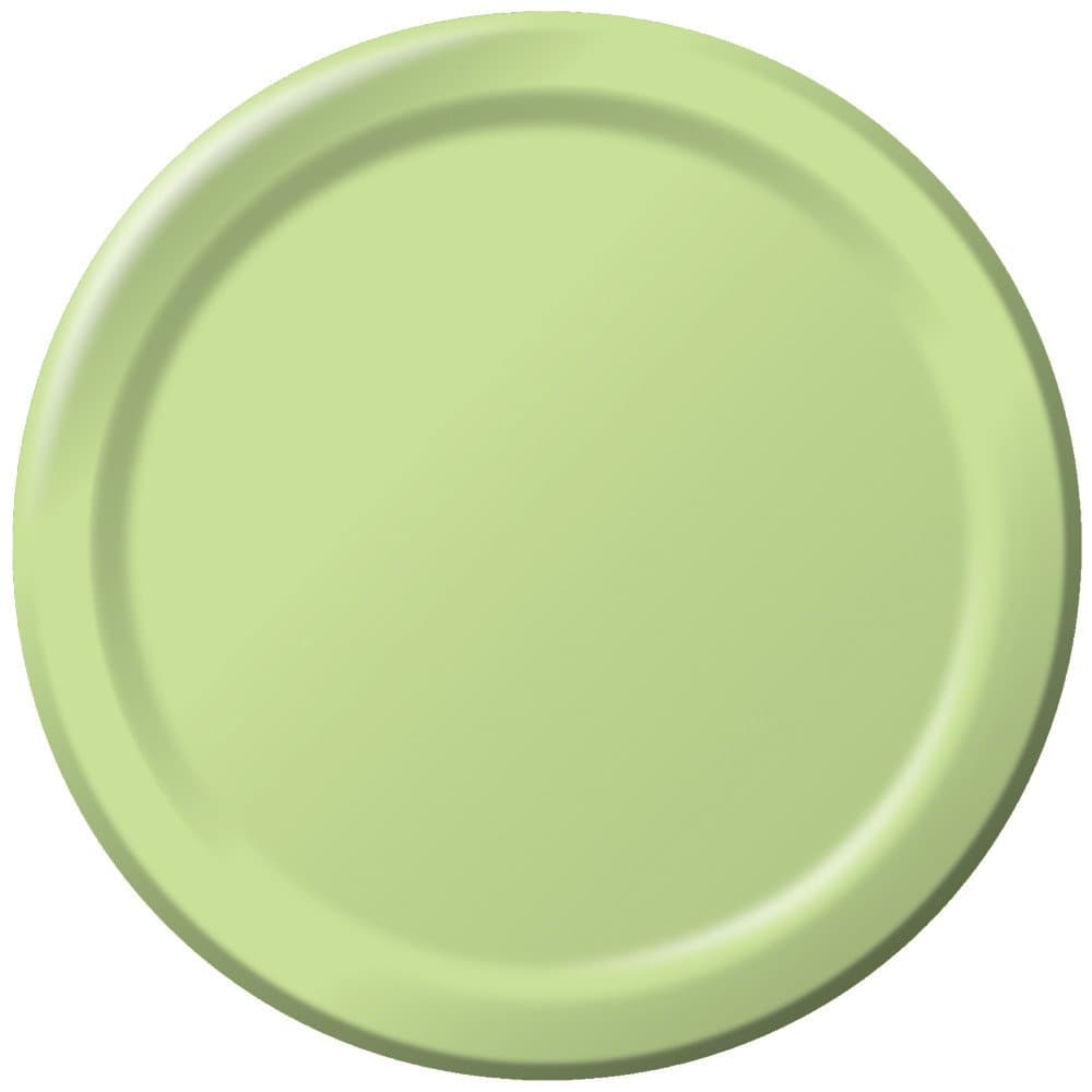Creative Converting Touch of Color 24 Count Paper Banquet Plates, Pistachio