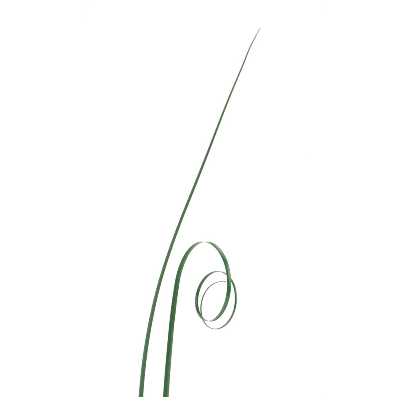 50 STRANDS GREEN BEAR GRASS LEAF ONION WEDDING CUPCAKES CAKE TOPPER