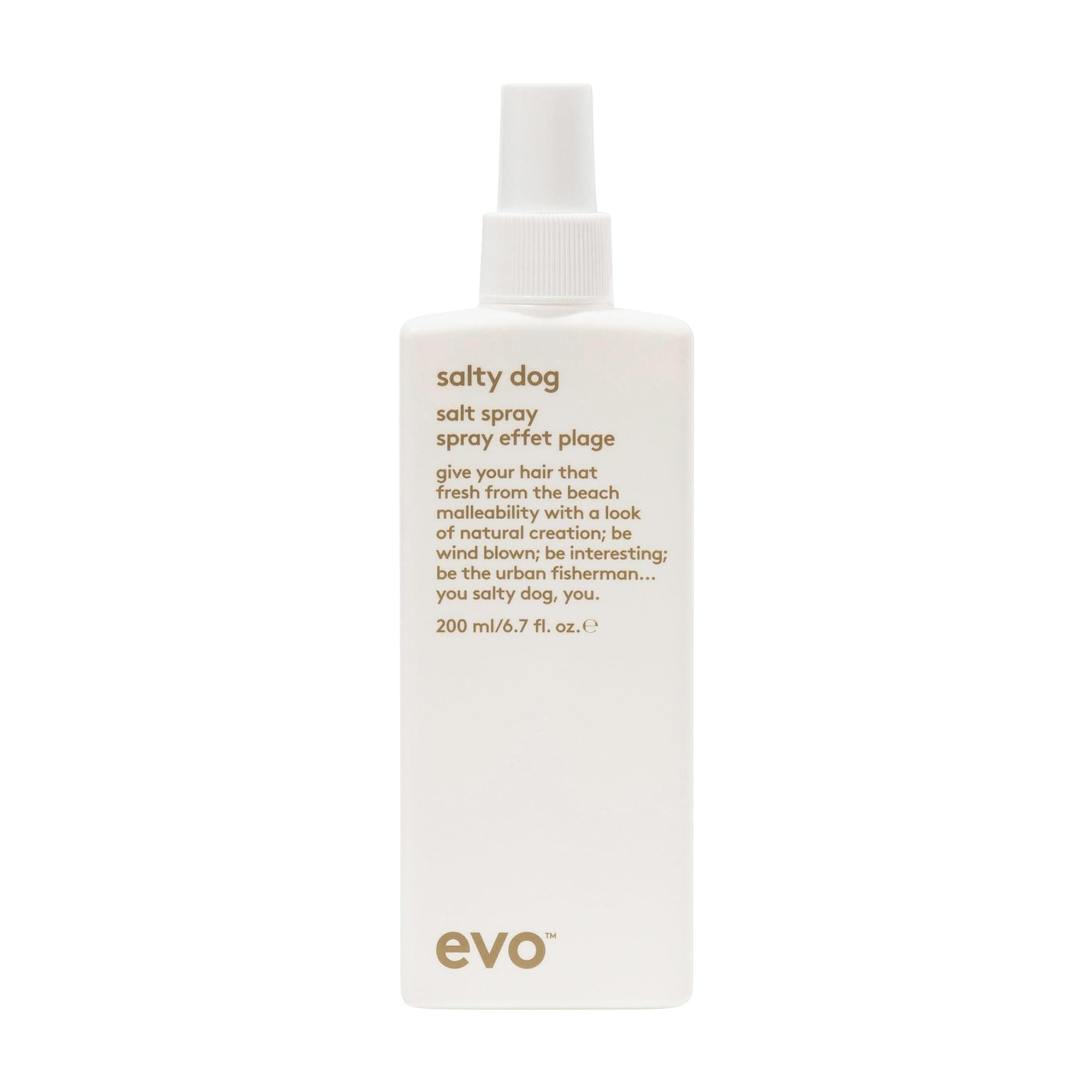 EVO Salty Dog Salt Spray - Hair Texture & Volume Spray - Beach Textured Hair, Natural Matte Finish