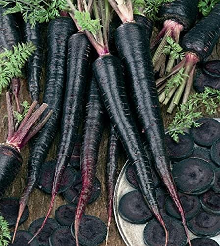 Black Carrot Deep Purple Carrot Planting Seed