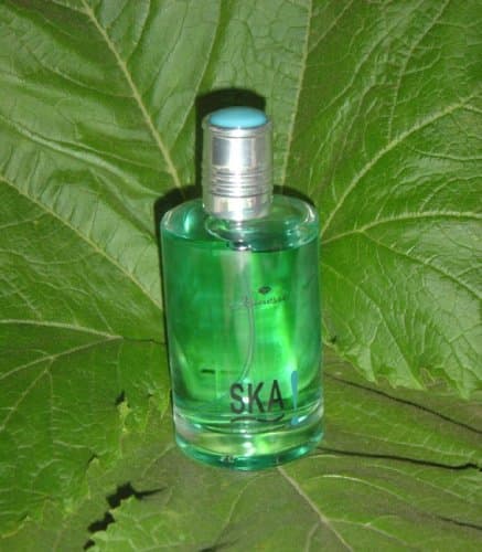 SKA Eau de Toilette, 100 ml (for Boys)