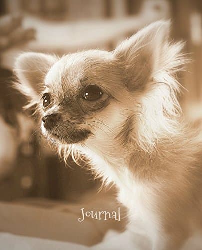 Journal: Beautiful Chihuahua Paperback – 8 Nov. 2017