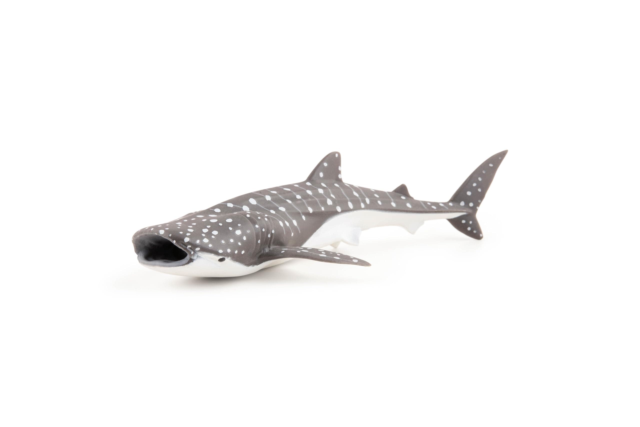 Figurine, 56046 Young Whale Shark Marine Life, Multicolour