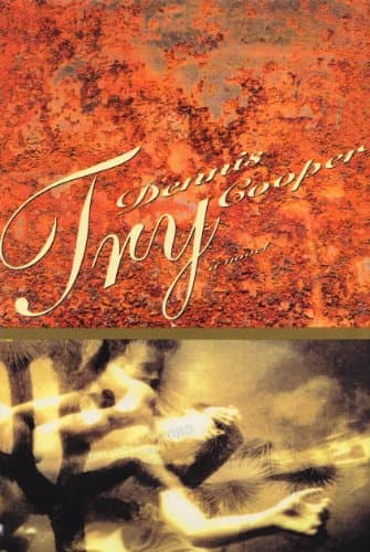 Try (Cooper, Dennis)