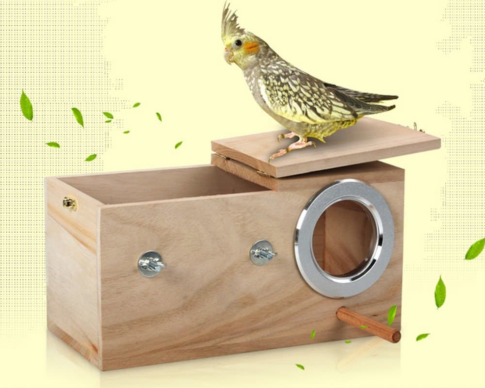 Rainsflower Cockatiel Breeding Nesting Bird Avery - Cage Box