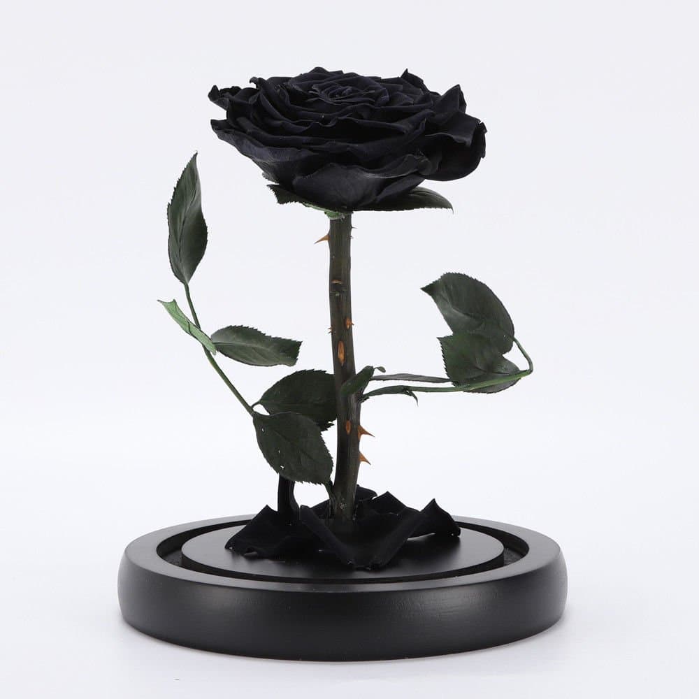Artificial Flowers, Beauty And The Beast Rose, Preserved Fresh Flower with Fallen Petals in a Glass Best Gift for Valentine's Day Anniversary Birthday Mother's Day Wedding, US STOCK (Black)