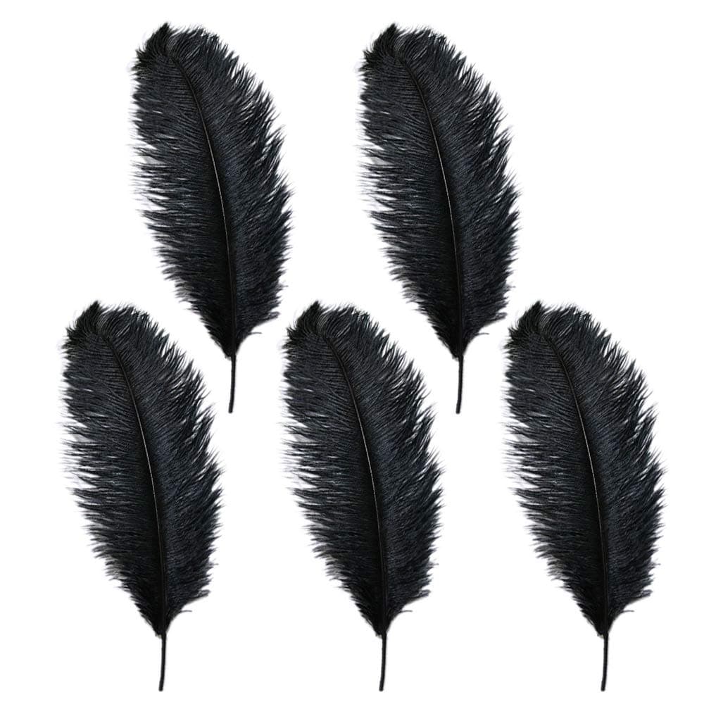 Rgontar R STAR 10-12 inches Ostrich Feather Real Natural Feather for Home Decor Party Wedding Decorations, Pack of 5 black 15