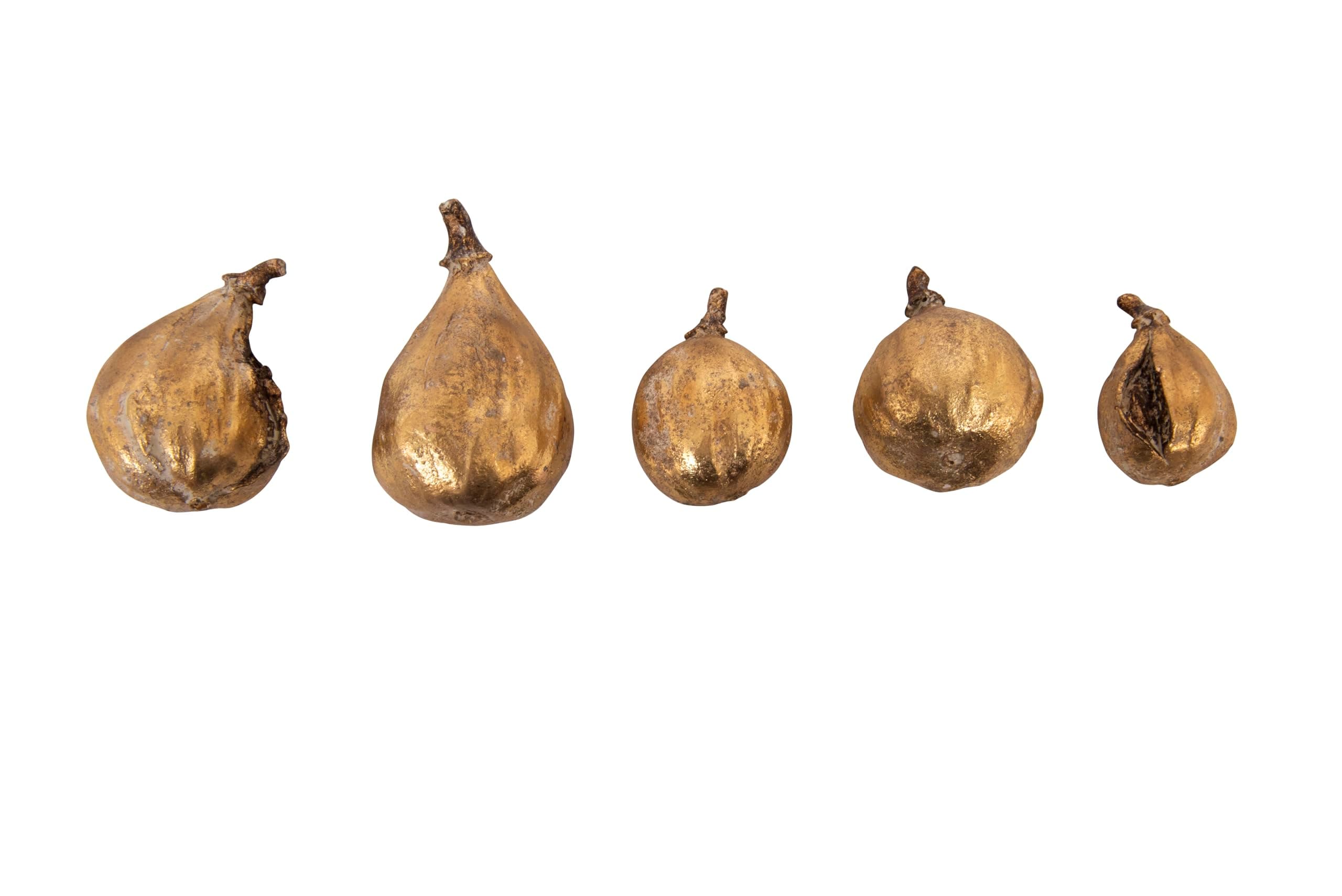 Resin Figs with Gold Finish (Set of 5 Pieces)