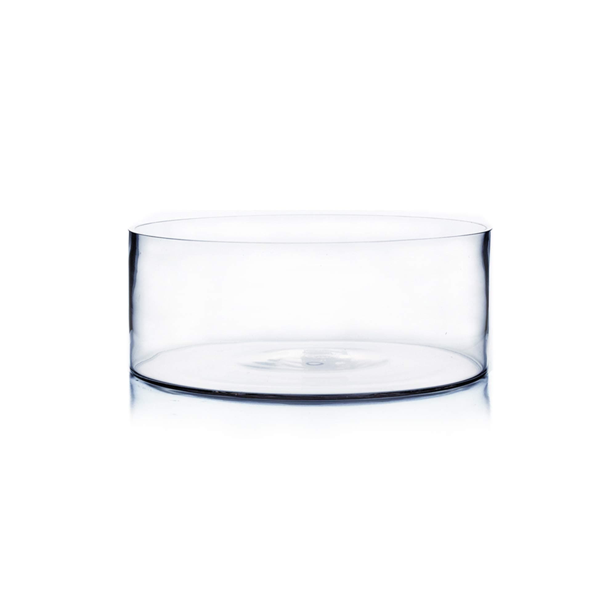 WGV Cylinder Vase, Open Width 10", Height 4", Clear Flat Pan Style Container, Planter Terrarium, Floral Centerpiece for Wedding Party Event, Home Office Decor, 1 Piece