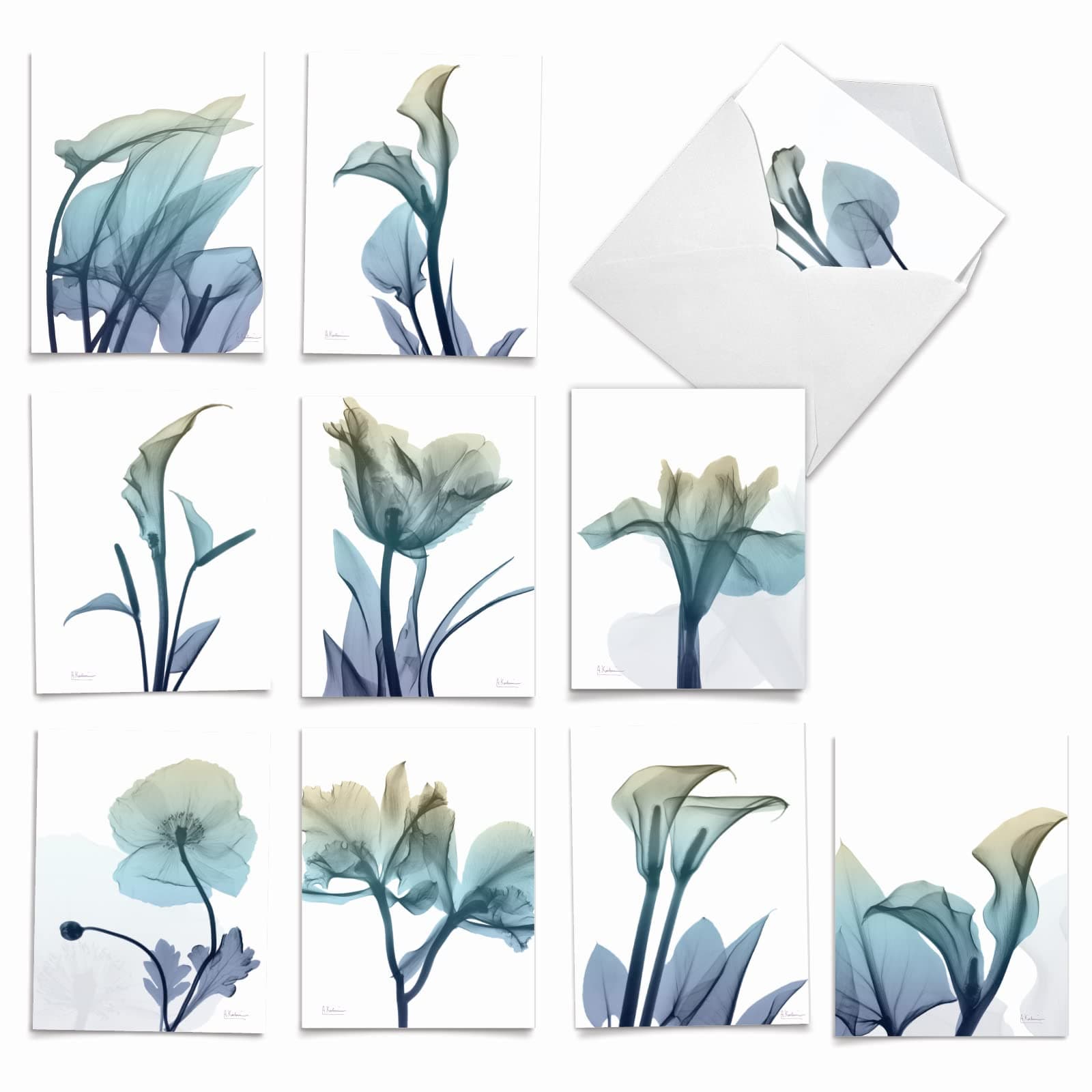 10 Boxed Note Cards with Flowers - Blank Assorted Floral Notecards Bulk (4 x 5.12 Inch) - Blooming Expressions AM6221OCB-B1x10