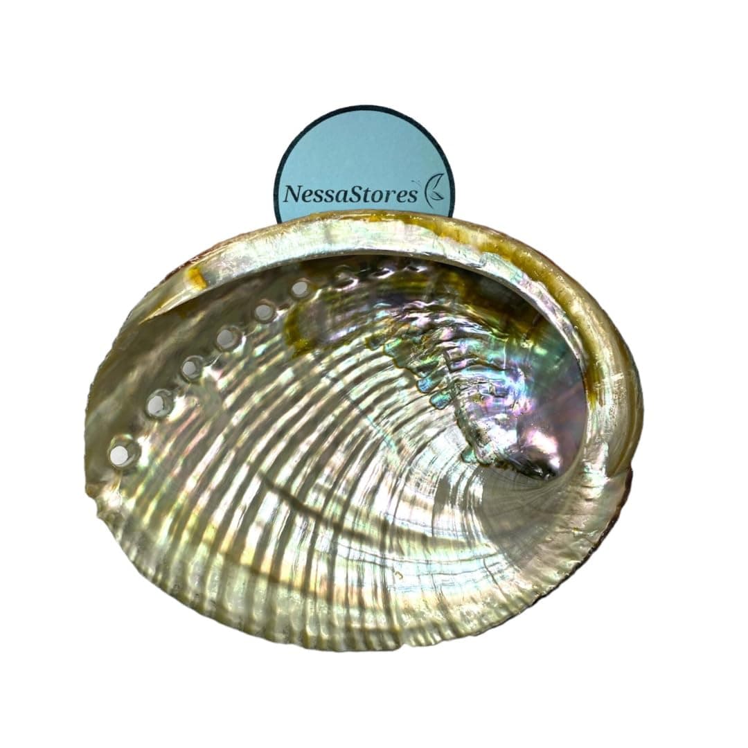 NessaStores 4 Abalone Shells 4 to 5 Inches | Beautiful All Natural Smudge Bowl - Perfect for Smudge Sticks, Incense Sticks and a Sage Smudge Kit. JC-011
