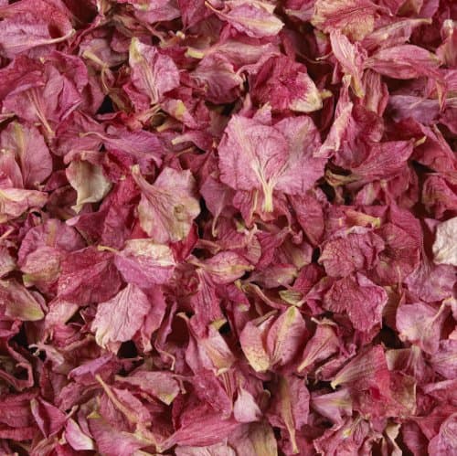 1 Pint - Raspberry Pink Air Dried Delphinium Petals