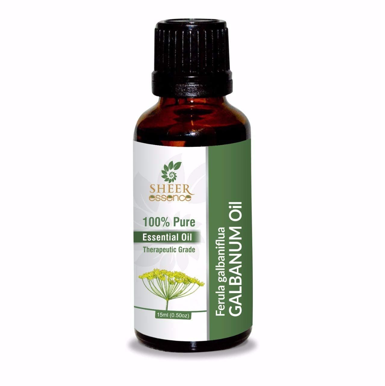 Galbanum Oil 15 ML (0.51 Fl.OZ) | 100% Pure Natural Undiluted Uncut Therapeutic Grade Ferula Galbaniflua Essential Oil