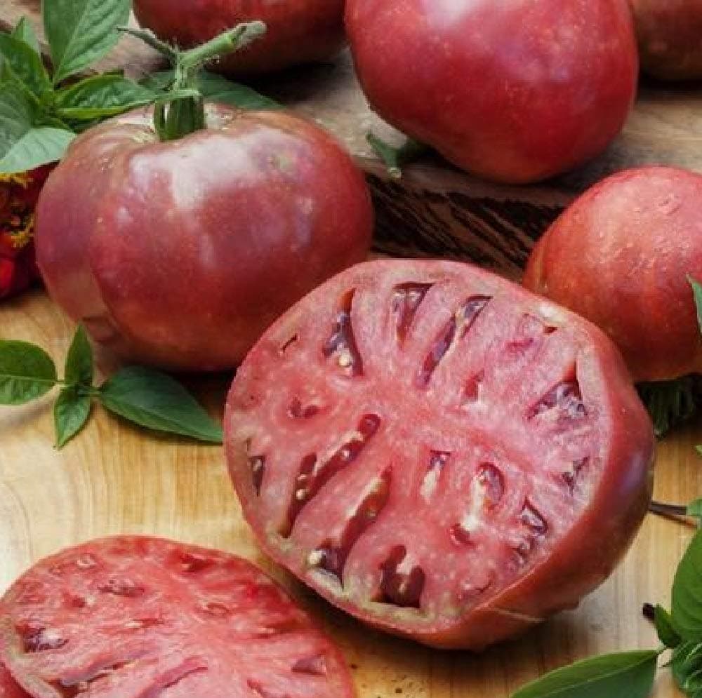 Cherokee Purple Tomato Seeds - Heirloom Garden Variety - Non GMO