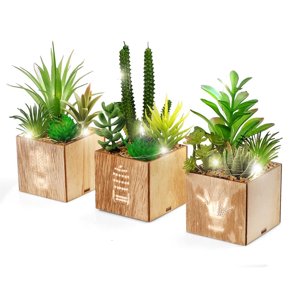 BEGONDIS Set of 3 Artificial Succulents with Led Lights in Wooden Box, Artificial Plants Plastic Fake Topiary for Home/Office Decorations, Table Centerpiece, Valentine's Day