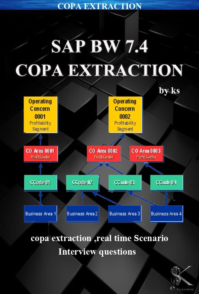 SAP BW 7.4 COPA EXTRACTION [Print Replica] Kindle Edition