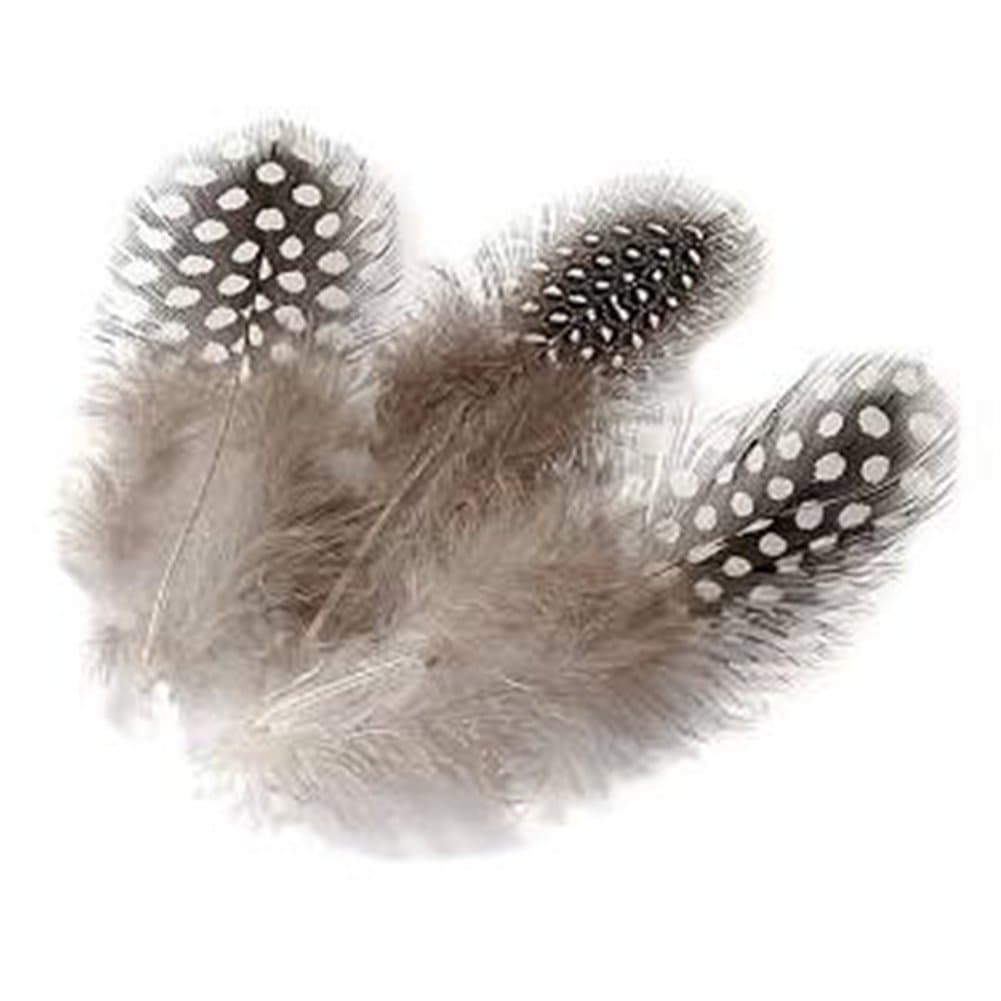 ERGEOB PANAX nature decoration rooster feathers 100pcs, 4-10cm/ 1.6-4 Inches lengths, Great for crafts, Handwerk, DIY, hats, earring, home decor, DIY Grey