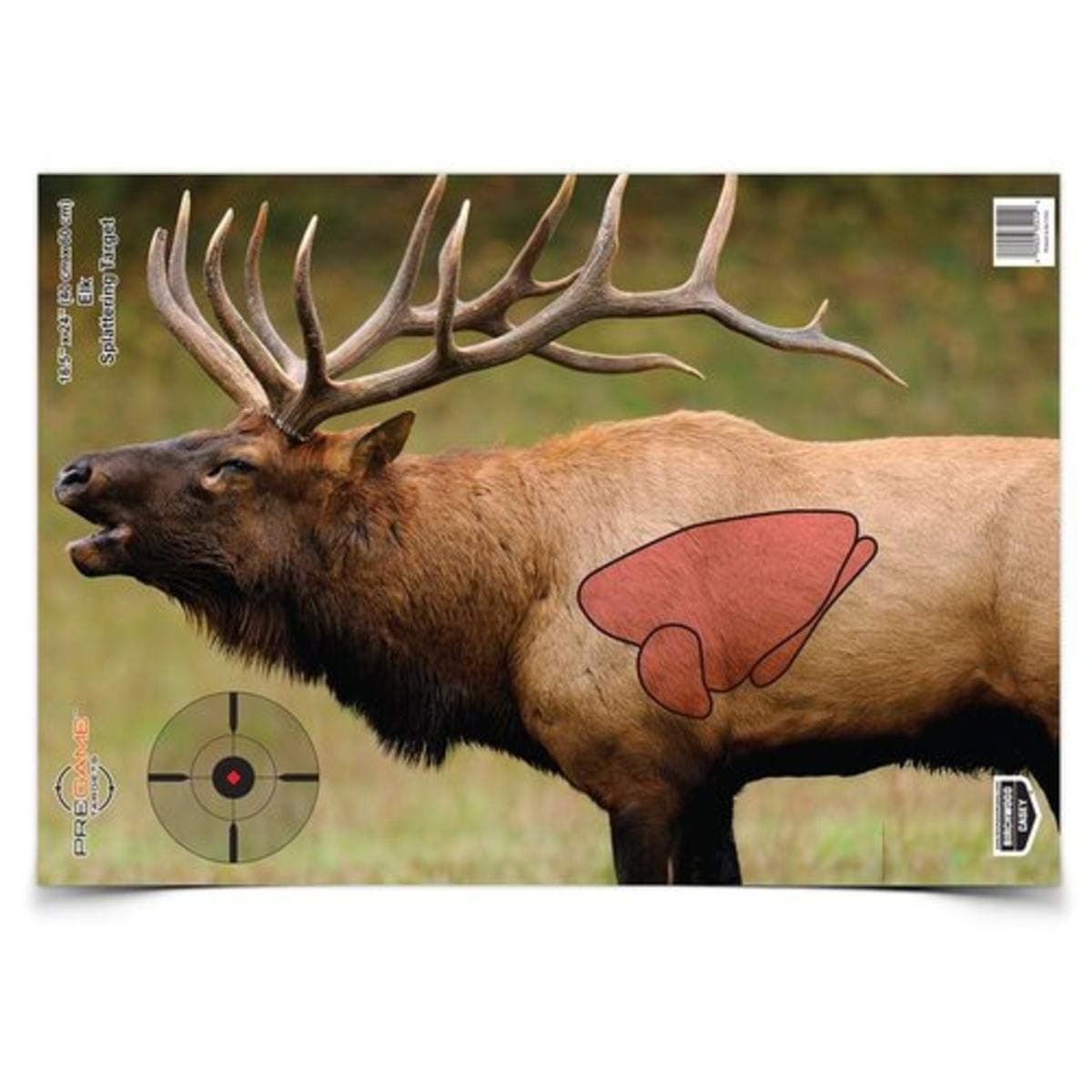 BIRCHWOOD CASEY Pregame 16.5" x 24" Big Game Animal Targets - Photo-Realistic Instant Splattering Shooting Targets - For Use with All Guns & Calibers - 3 Targets Pack