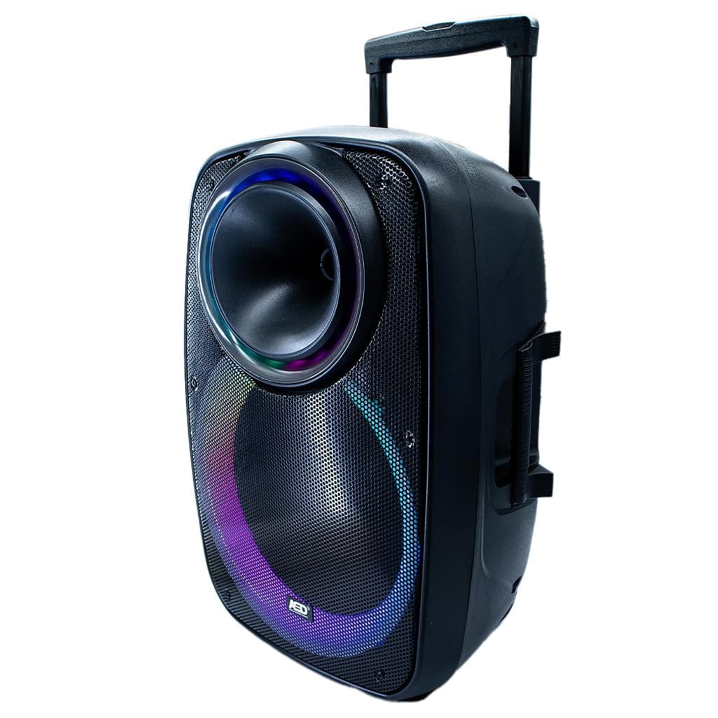 ASD-2495 CHORUS 12" Trolley Speaker | Wireless Microphone | Disco Light & Remote | 1700 Watts