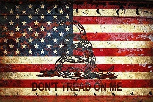 Gadsden and American Flag Themed Artwork - Don't Tread on Me - American Flag & Viper on Rusted Metal Door Print on Archival Paper, Metal Sheet or Stretched Canvas