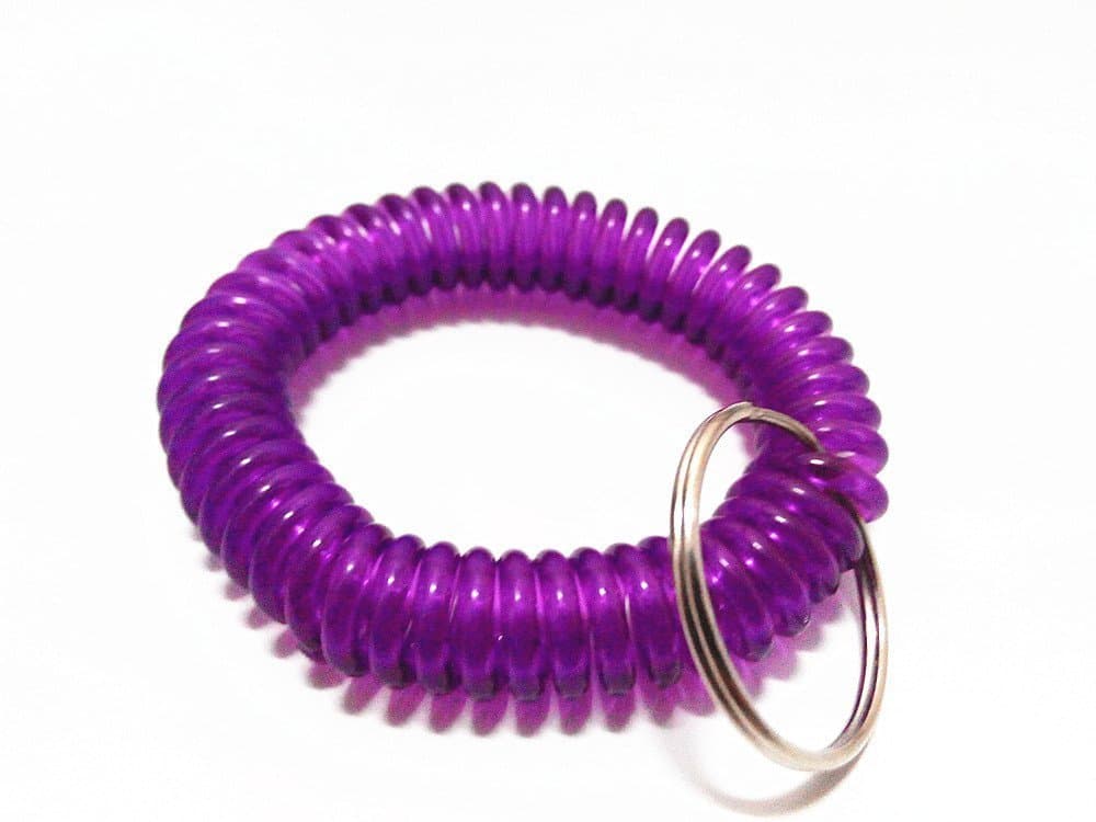 SFamily Pack of 12 Soft Flexible Plastic Spiral Spring Coil Wristband Key Ring Chain Tags Telephone Line Wire Keychains (Purple)