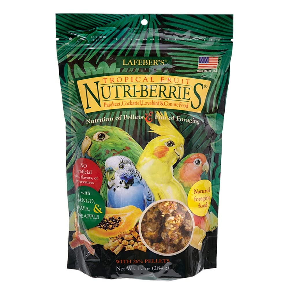 Lafeber's Gourmet Tropical Fruit Nutri-Berries for Cockatiels 10 oz Bag
