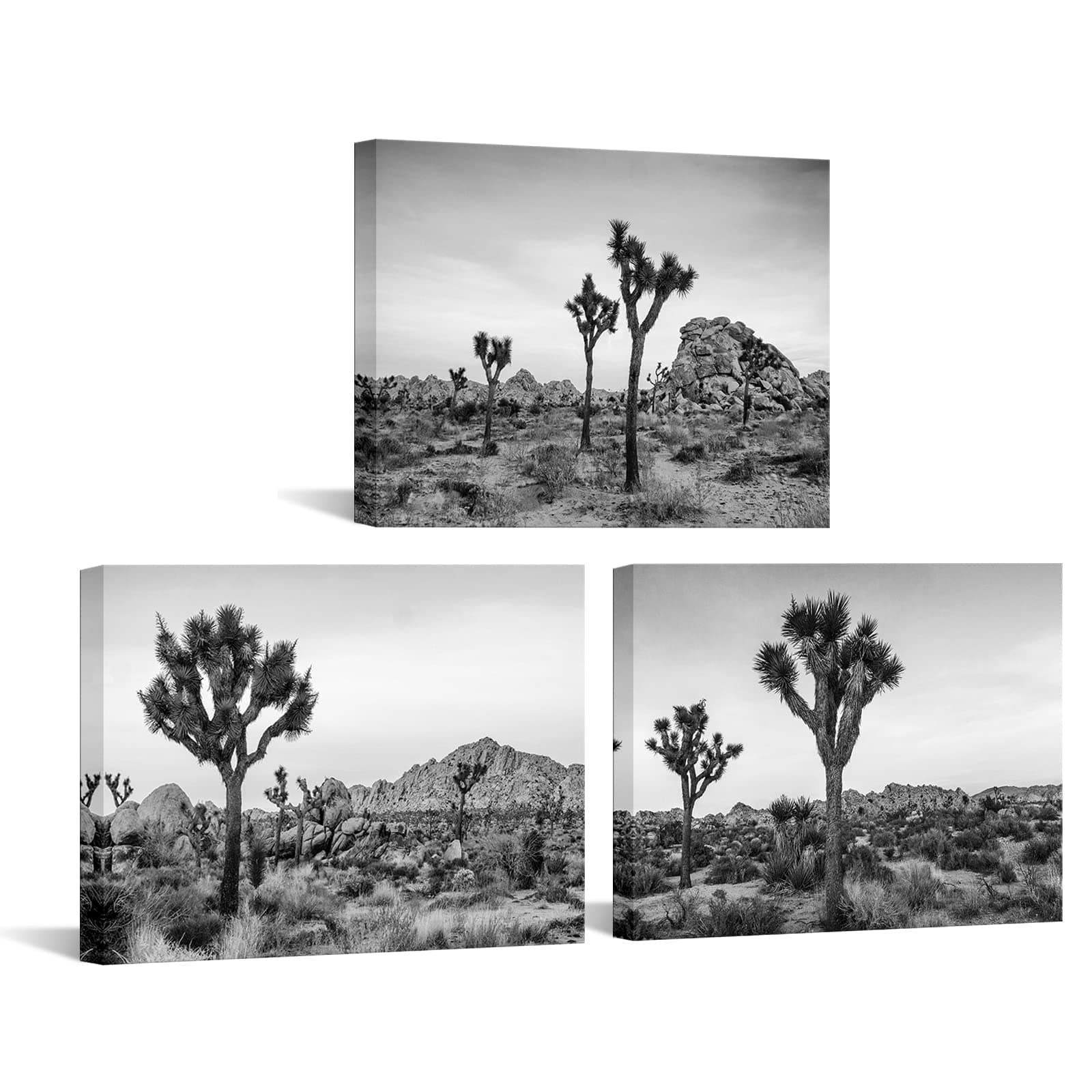 Nachic Wall Joshua Tree Landscape Canvas Print Black and White Southern California Desert Pictures Wall Art Stretched and Framed Artworks Modern Living Room Bedroom Office Home Decor (Small)