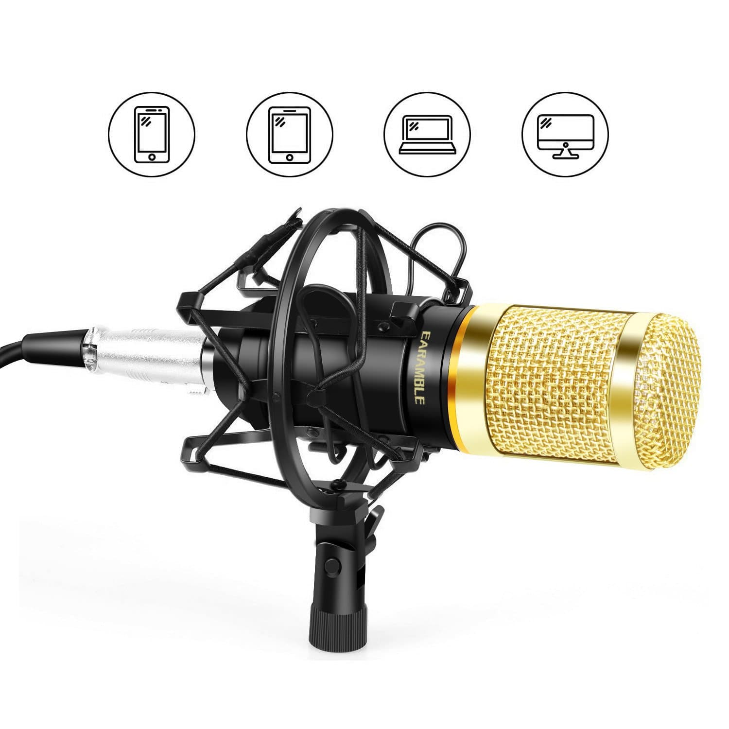 EARAMBLE Professional Studio Broadcasting Recording Condenser Microphone Recording Microphone with Shock Mount (Black)