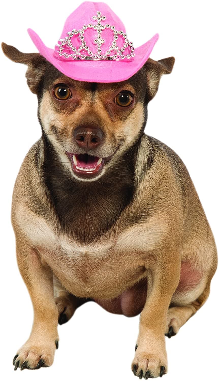 Rubie's Pink Cowgirl Dog Hat with Tiara, S/M