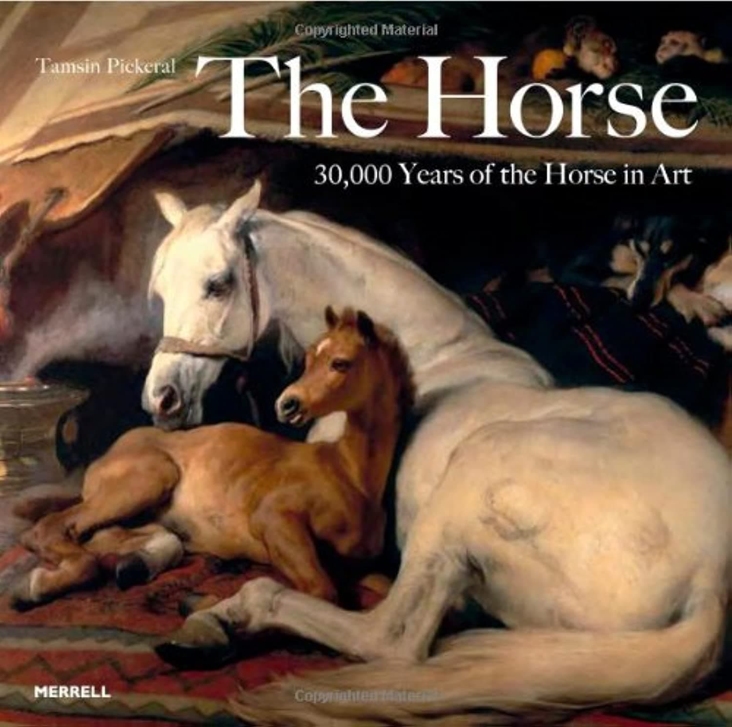 The Horse: 30,000 Years of the Horse in Art Paperback – Illustrated, 17 Aug. 2009