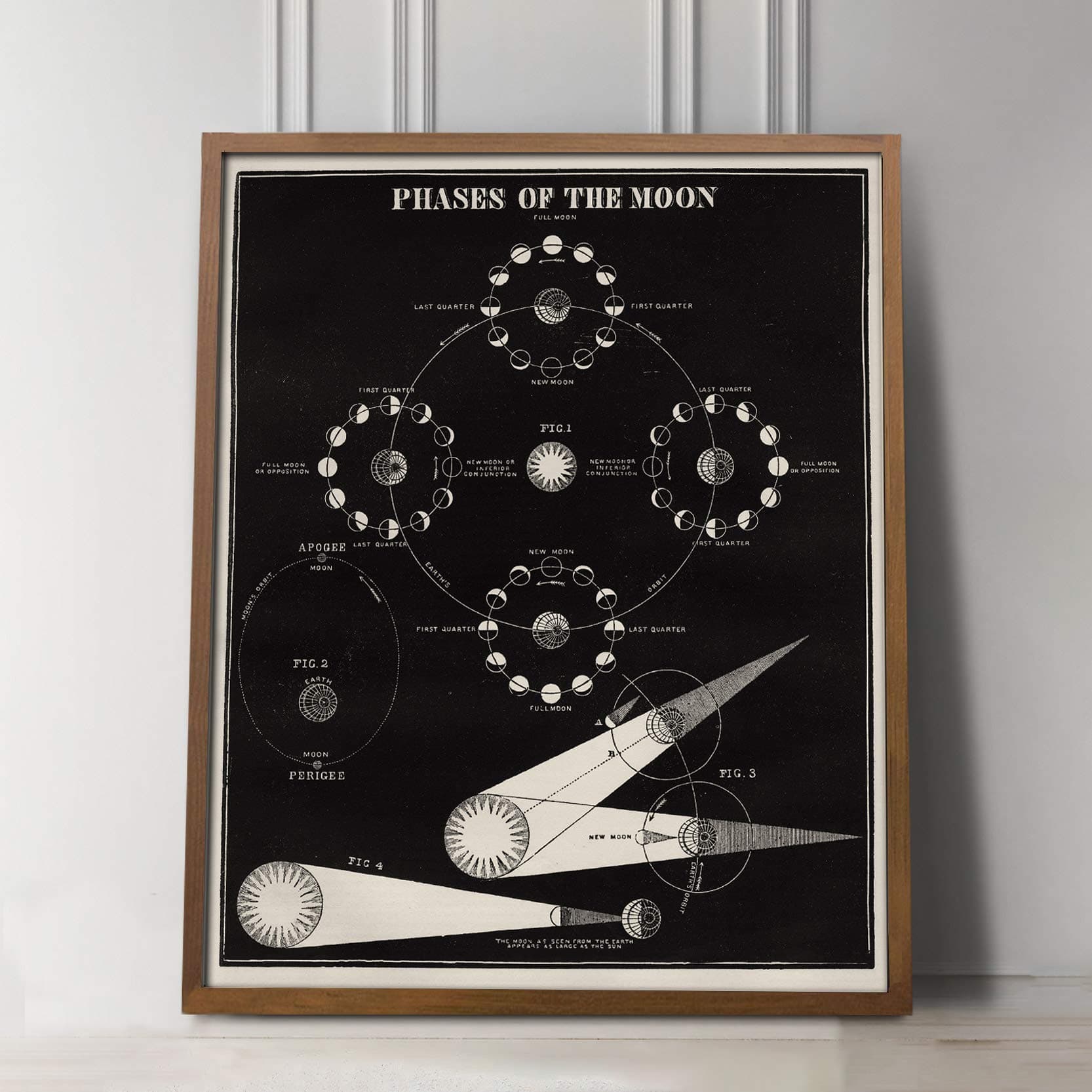 Moon Phases Antique Print - Vintage Phases of the Moon Astronomy Wall Art Print - Home Decor - 8 x 10, 11 x 14, 16 x 20, 24 x 30