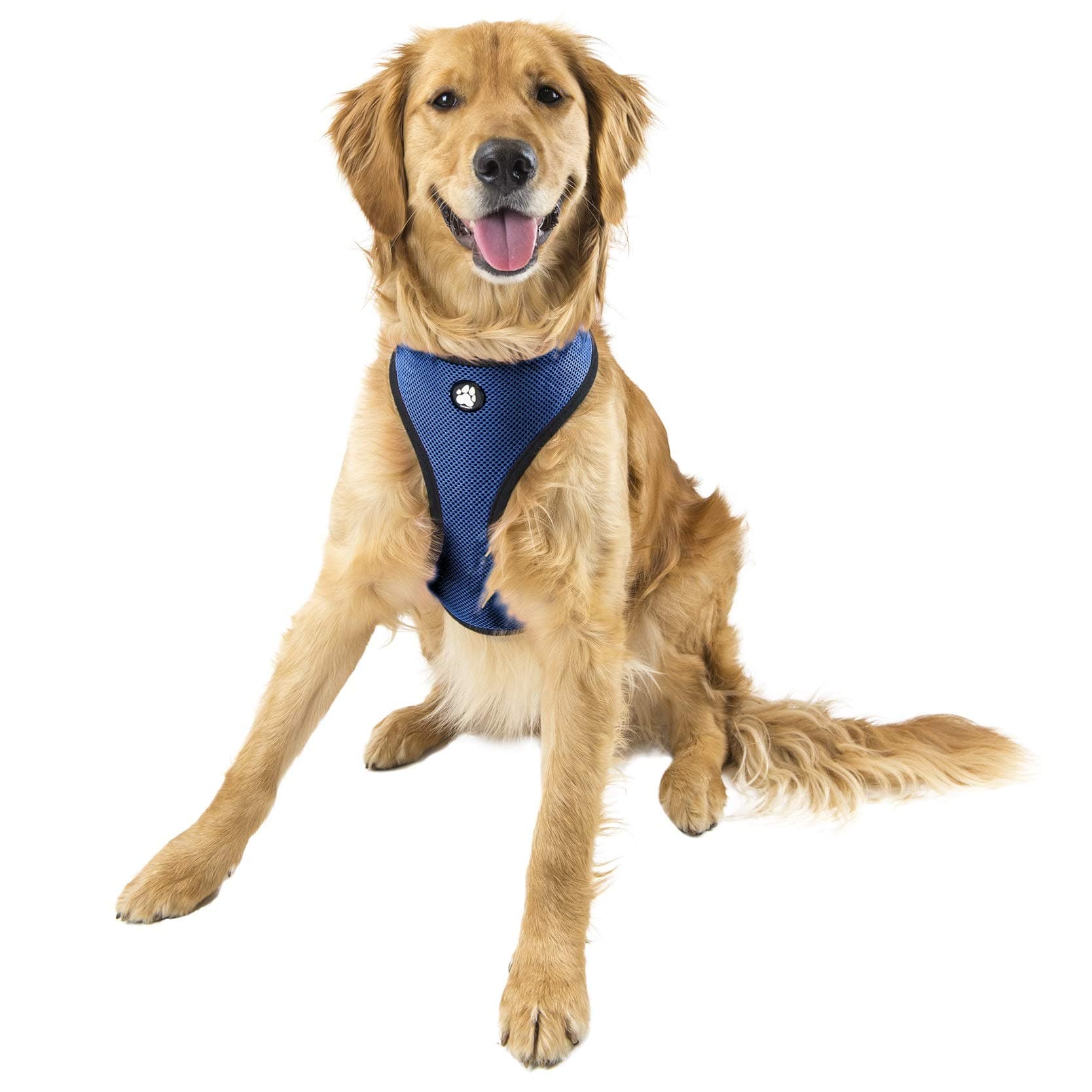 Furhaven Pet Dog Collar | Adjustable Padded Lightweight Breathable Mesh Pet Harness Vest for Dogs & Cats - Available in Multiple Colors & Sizes