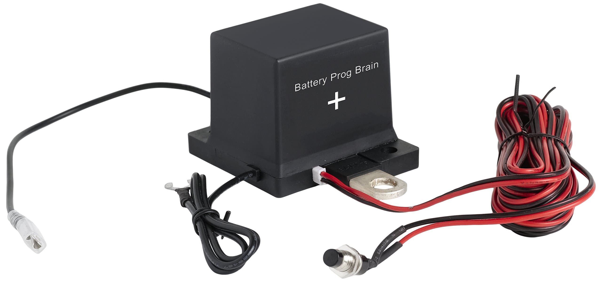 Battery Brain Gold (Type IV)