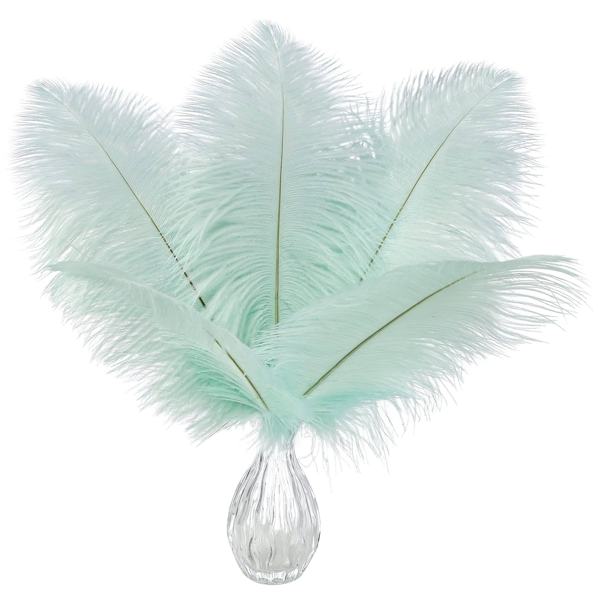 Ballinger Aqua Green Ostrich Feathers - 24pcs 10-12inch Craft Feathers Bulk for Wedding Party Centerpieces Mardi Gras Decorations and Home Decor