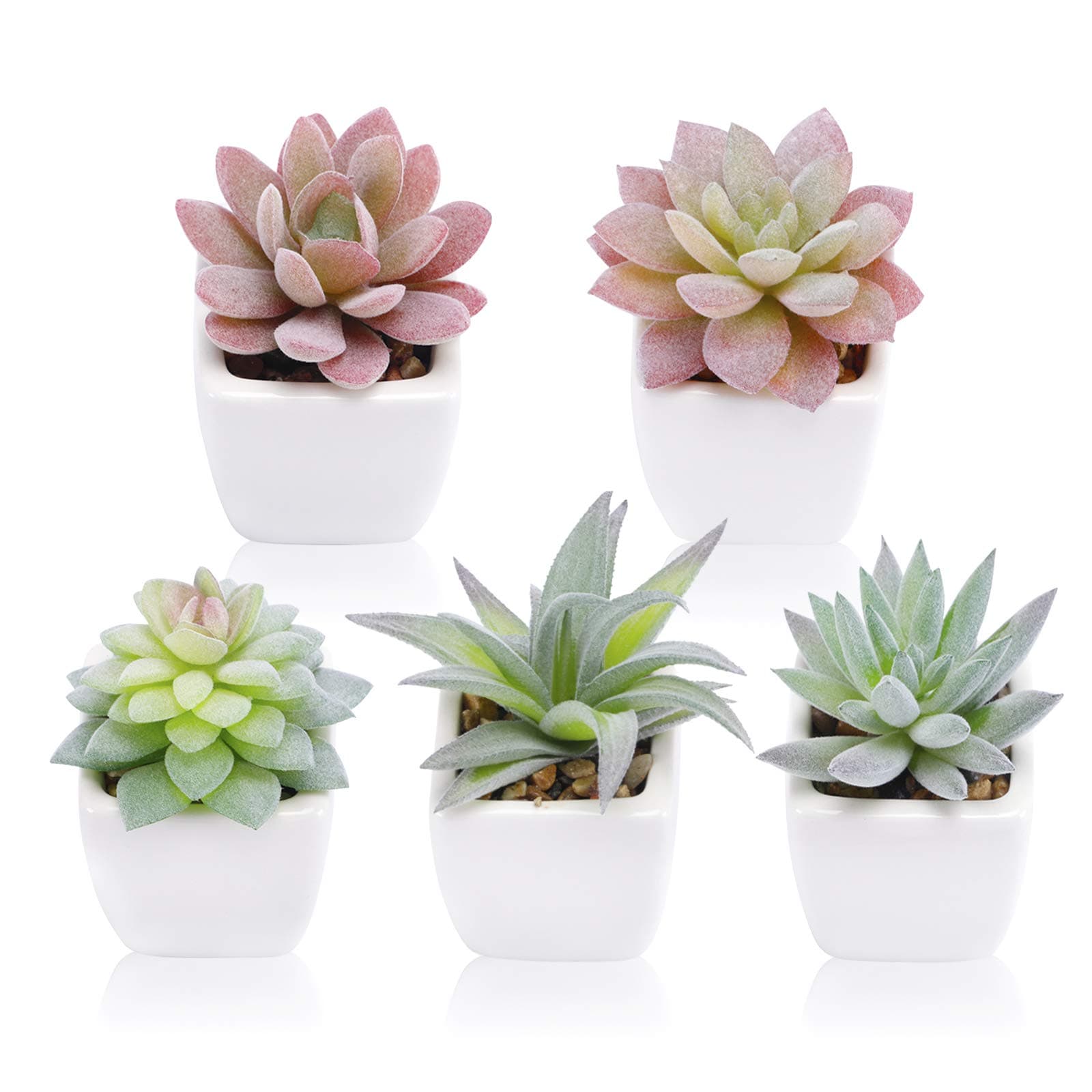 FUNARTY 5pcs Artificial Succulent Plants, Small Fake Desk Plants Mini Succulents Indoor for Shelf Living Room Bedroom Windowsills Office Home Decoration (Include White Ceramic Pots)